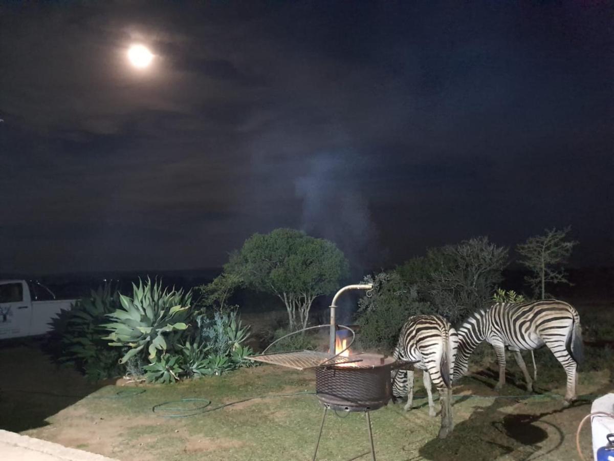 Kudu Ridge Game Lodge อัดโด ภายนอก รูปภาพ