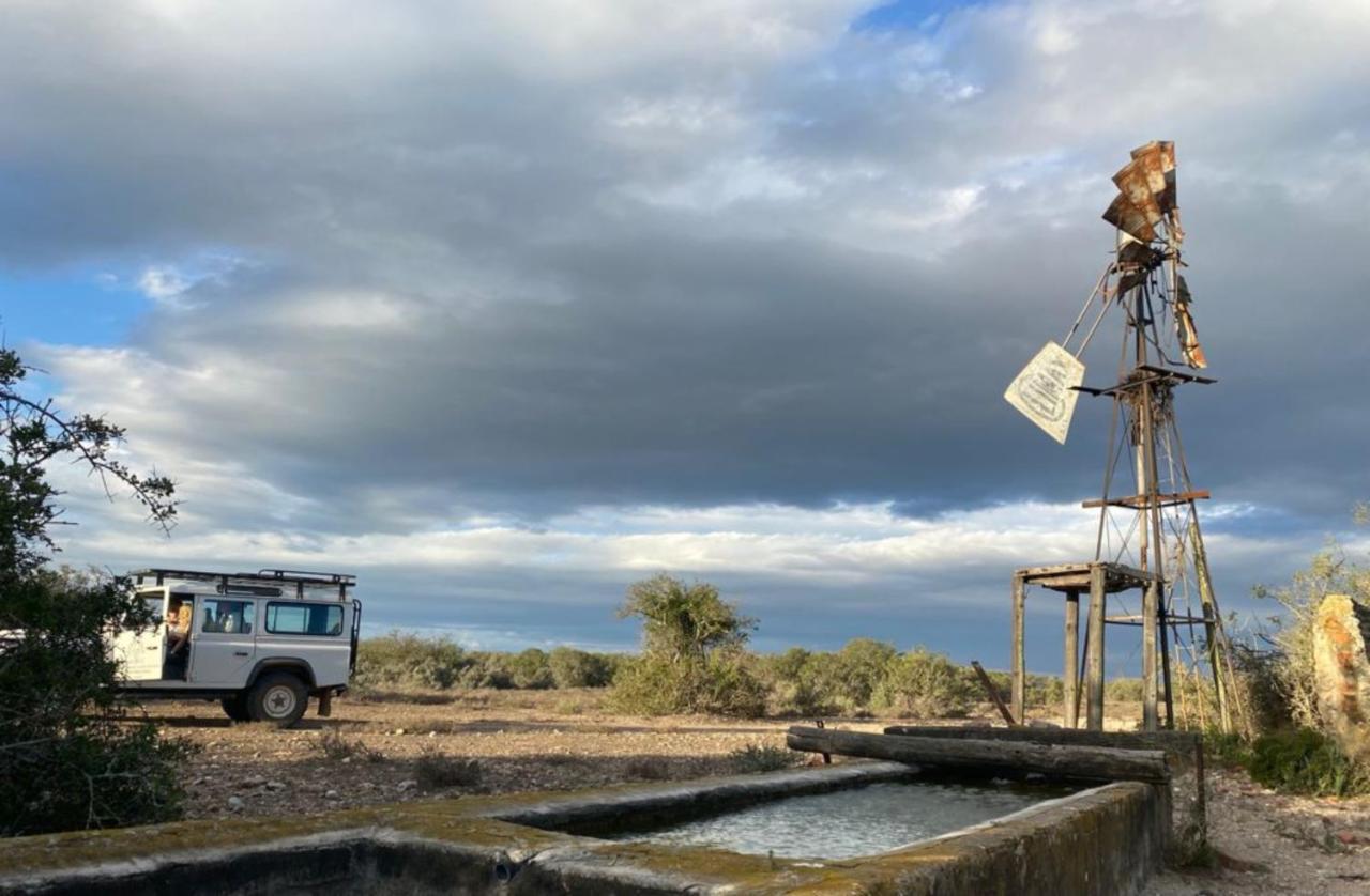 Kudu Ridge Game Lodge อัดโด ภายนอก รูปภาพ