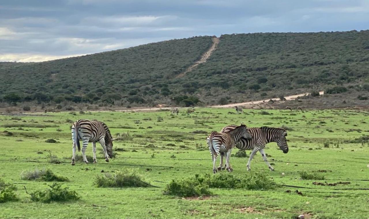 Kudu Ridge Game Lodge อัดโด ภายนอก รูปภาพ