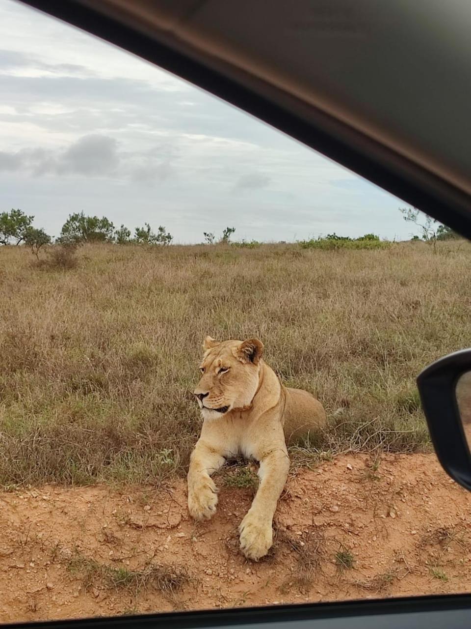 Kudu Ridge Game Lodge อัดโด ภายนอก รูปภาพ