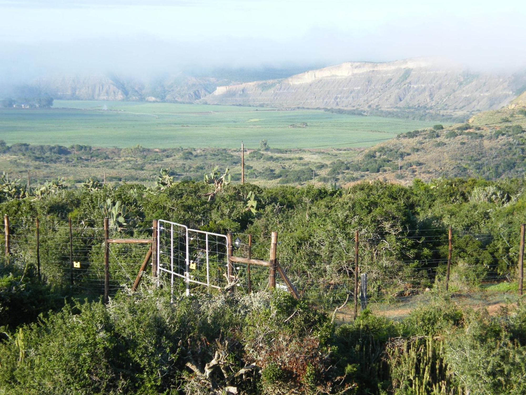 Kudu Ridge Game Lodge อัดโด ภายนอก รูปภาพ