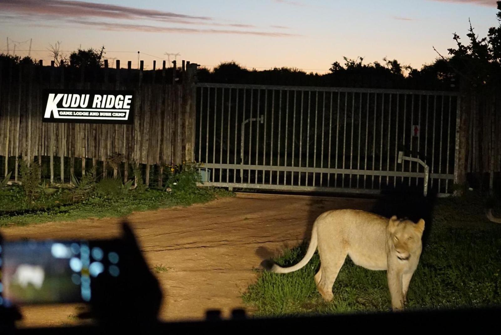 Kudu Ridge Game Lodge อัดโด ภายนอก รูปภาพ